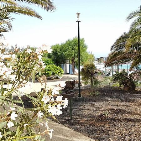 Appartement Bouganville Rez-De-Chaussee Wifi Costa De Antigua Dış mekan fotoğraf