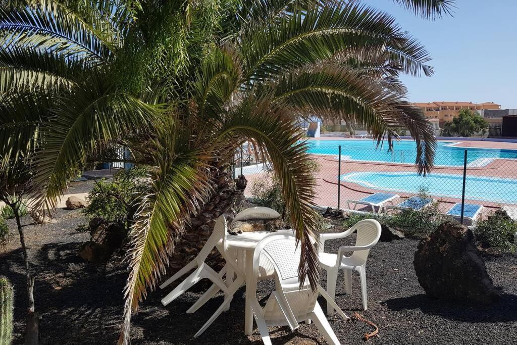 Appartement Bouganville Rez-De-Chaussee Wifi Costa De Antigua Dış mekan fotoğraf